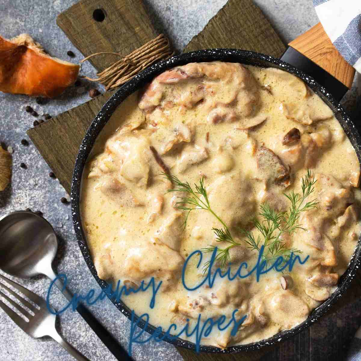 Creamy Chicken Recipes