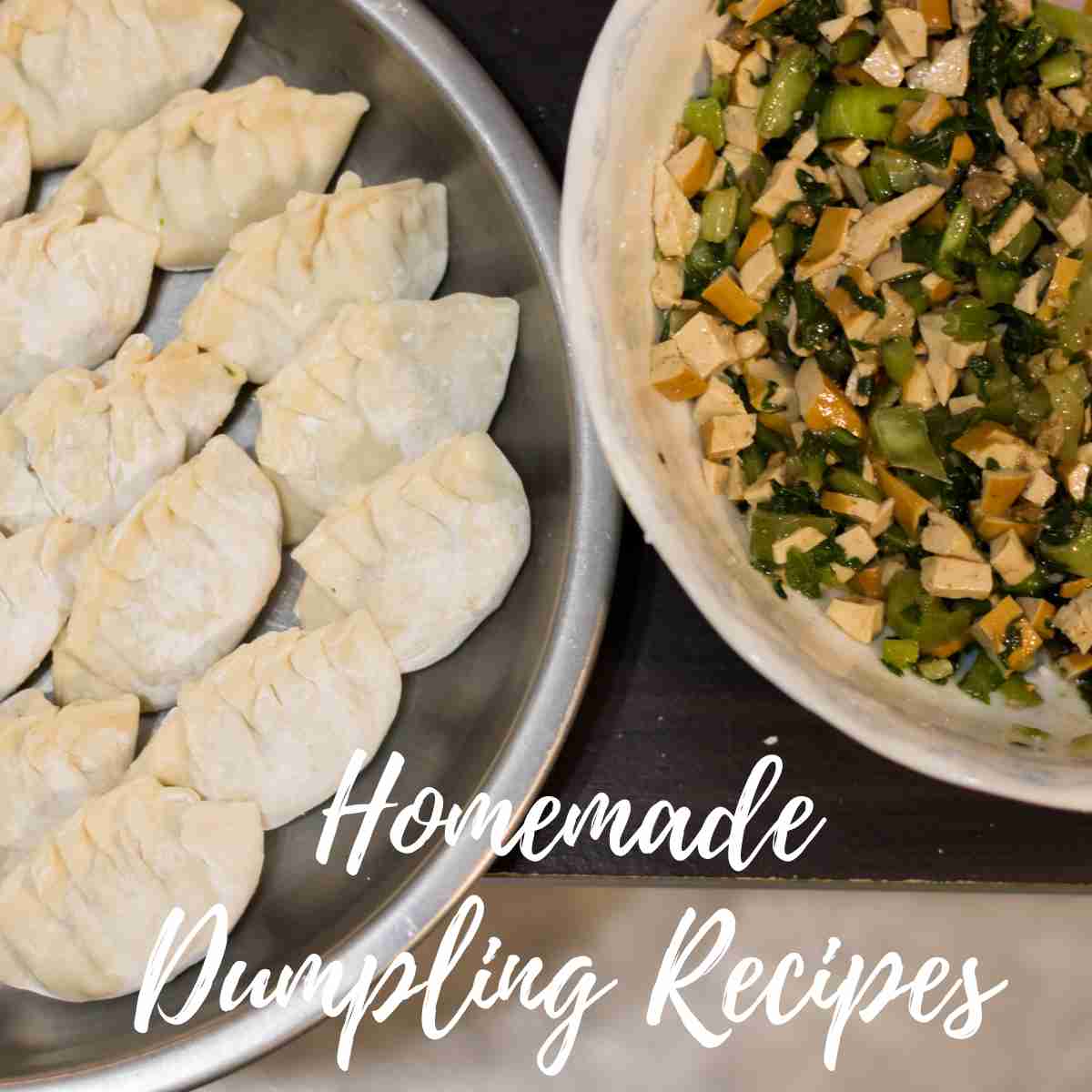 Homemade Dumpling Recipes