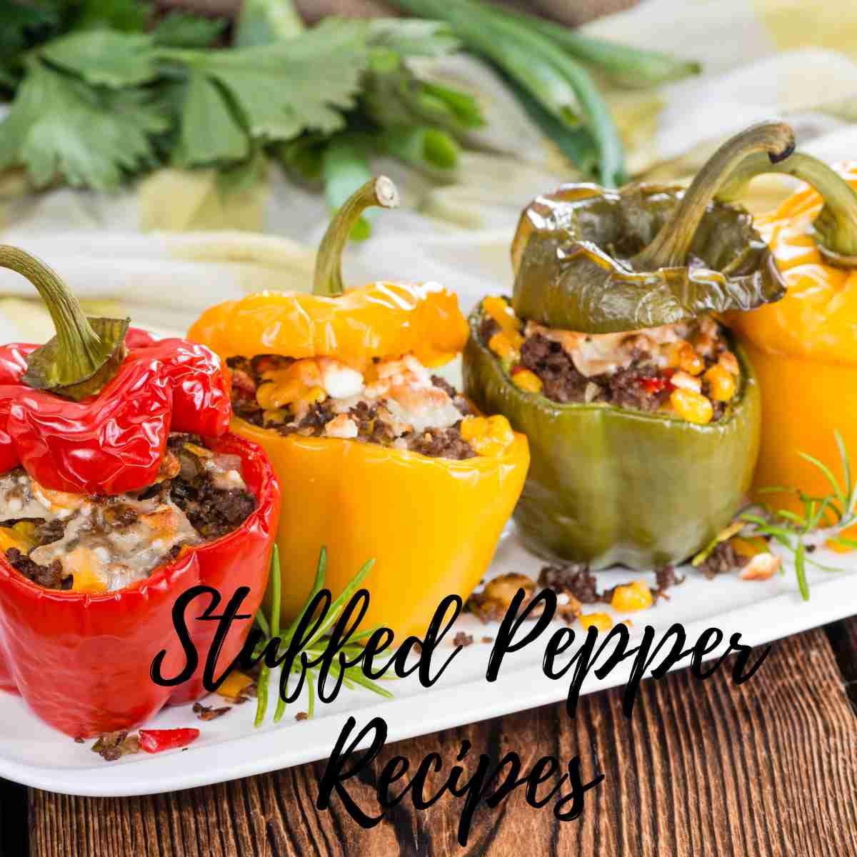 Stuffed Pepper Recipes