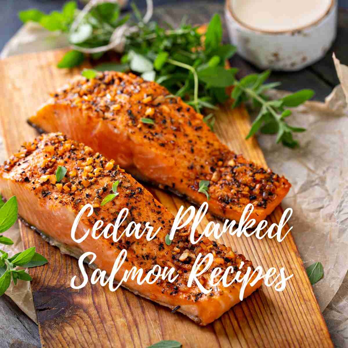 Cedar Planked Salmon Recipes