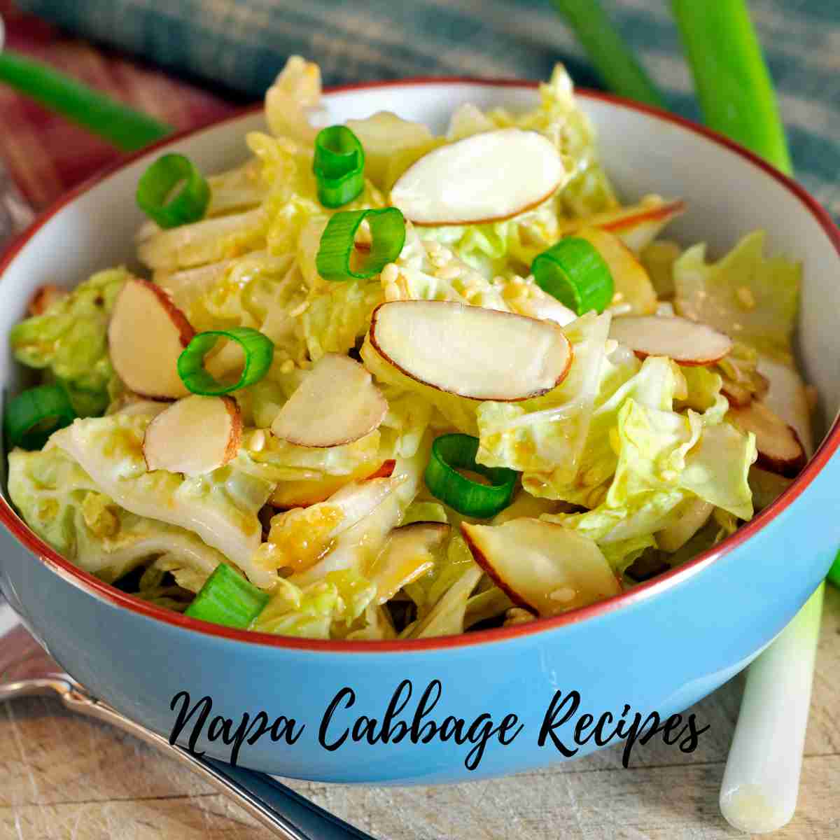 Napa Cabbage Recipes