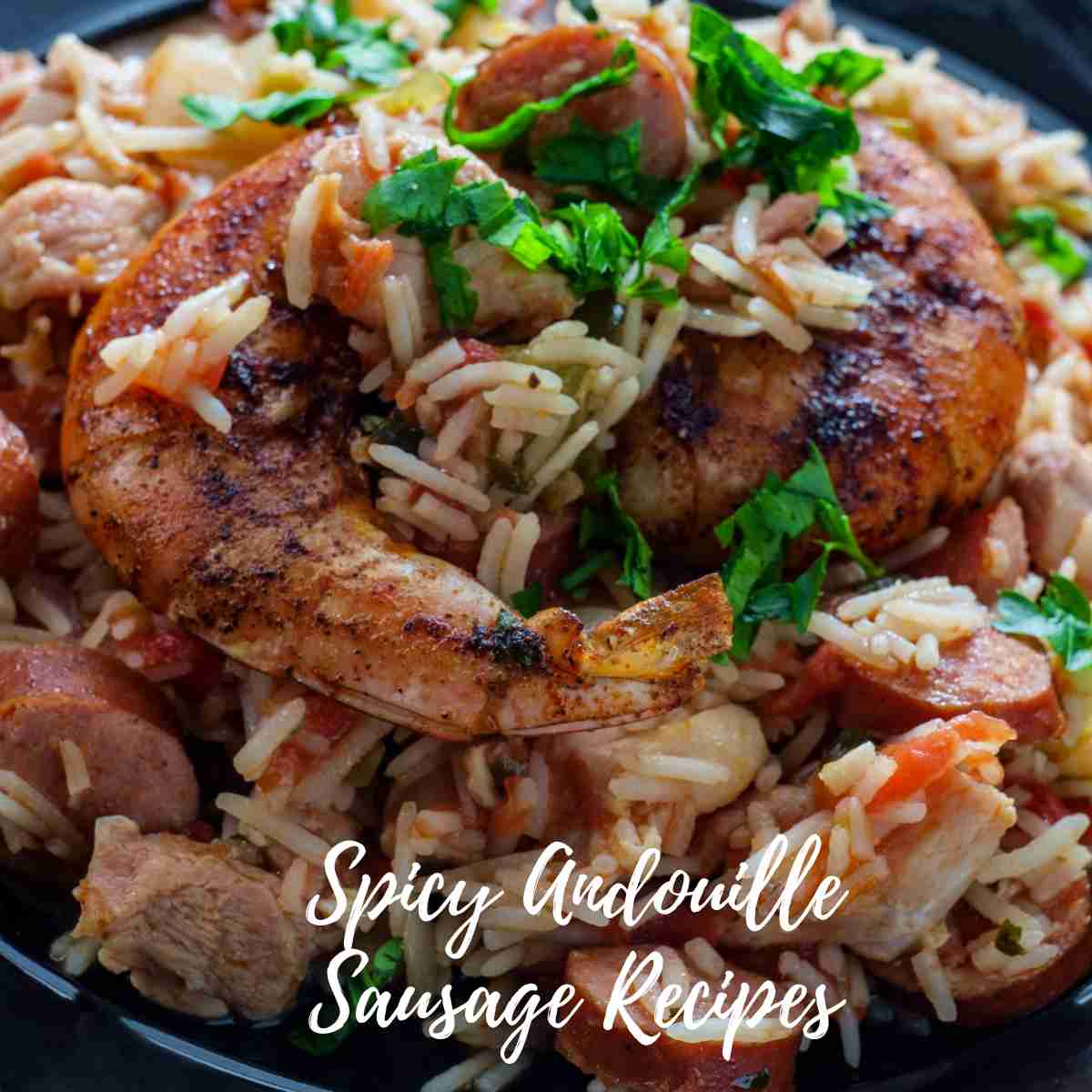 Spicy Andouille Sausage Recipes