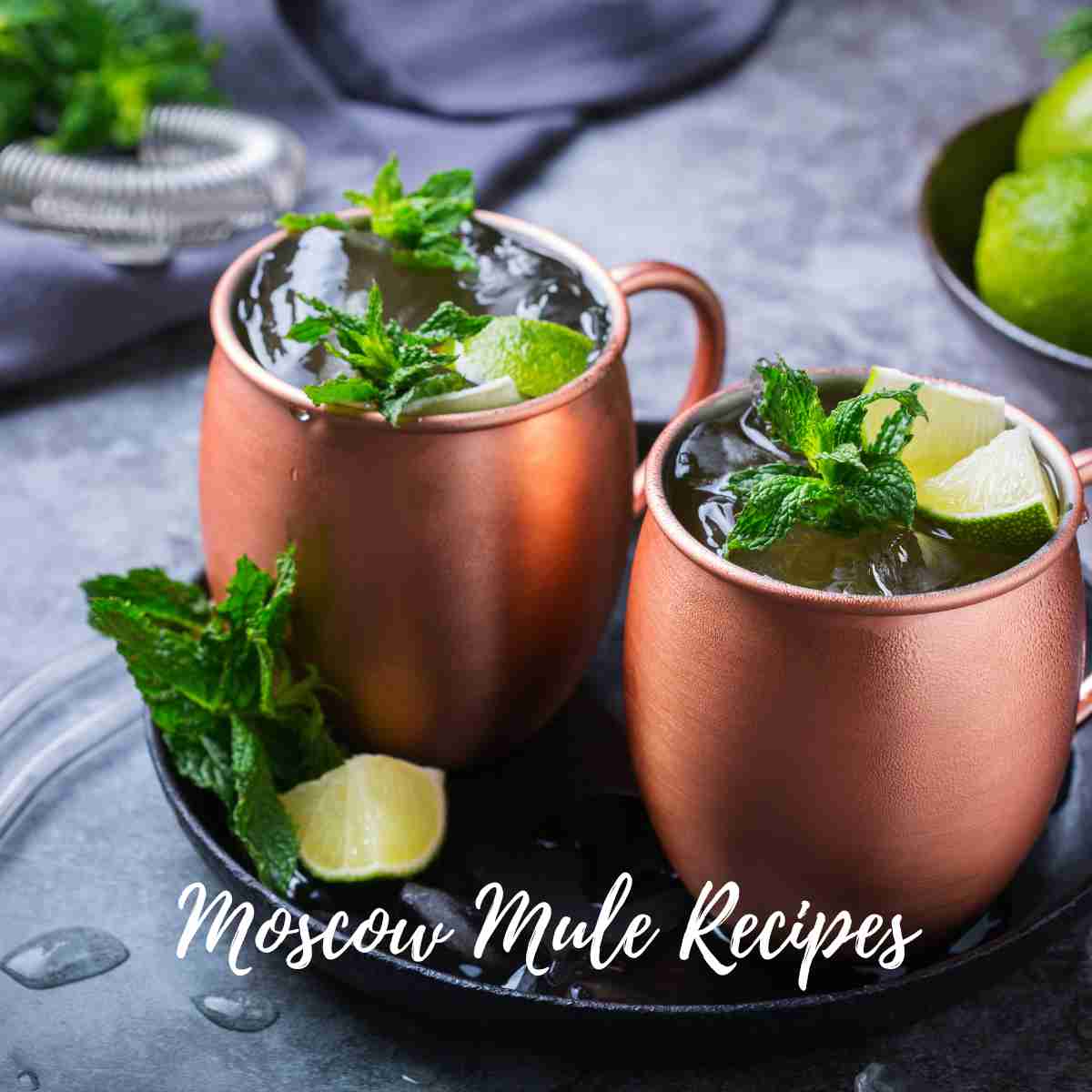 Moscow Mule Recipes