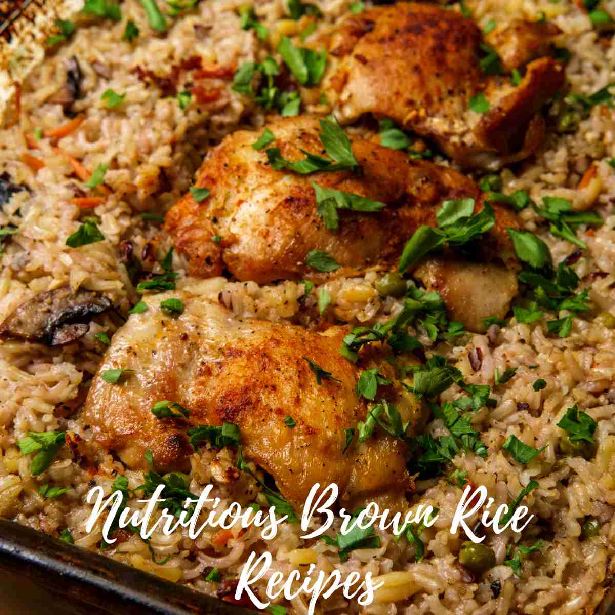 Nutritious Brown Rice Recipes