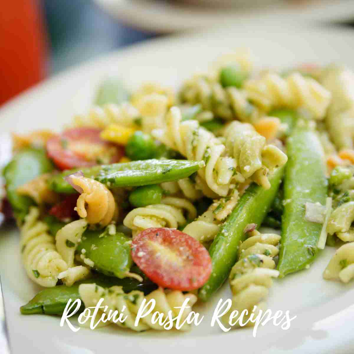 Rotini Pasta Recipes