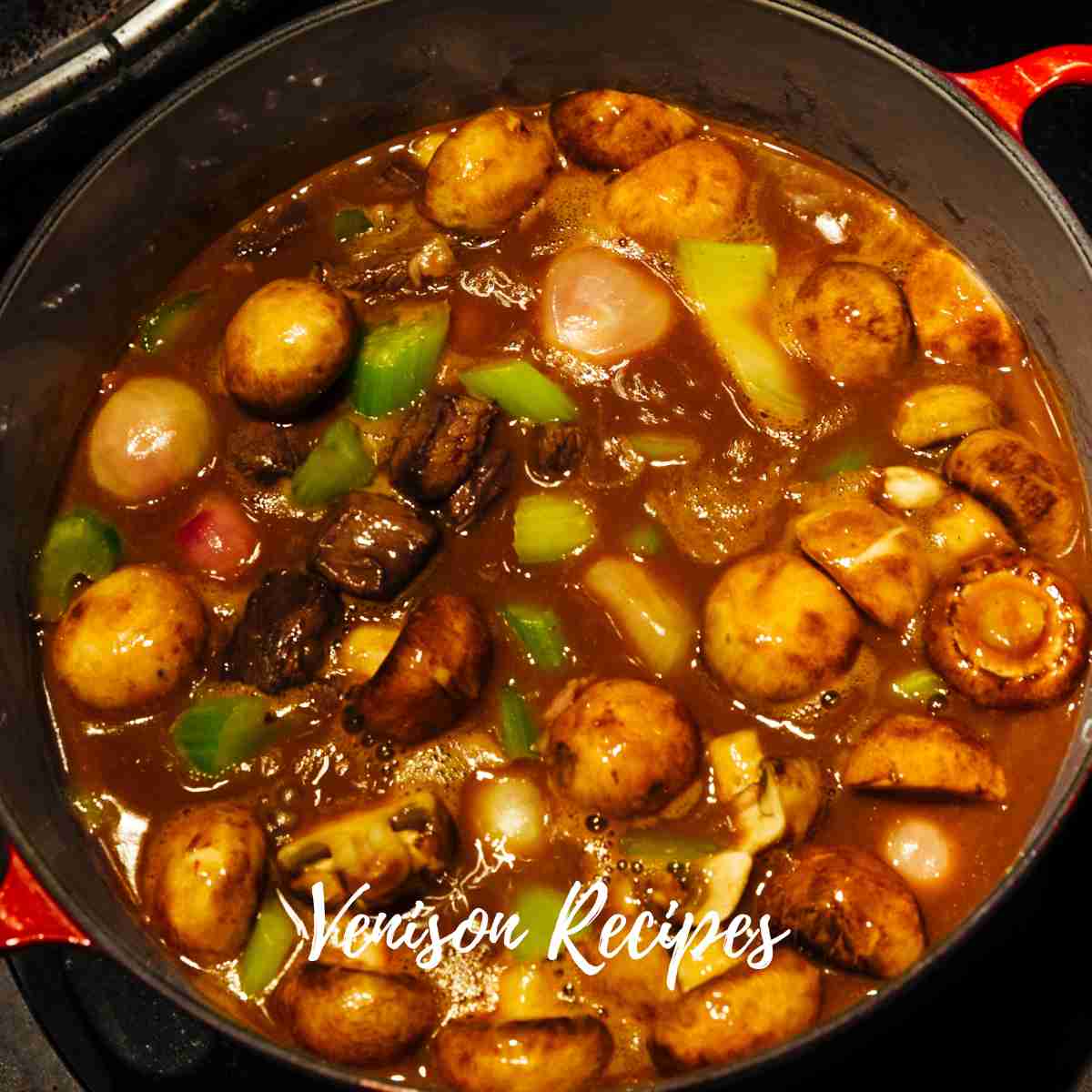 Venison Recipes