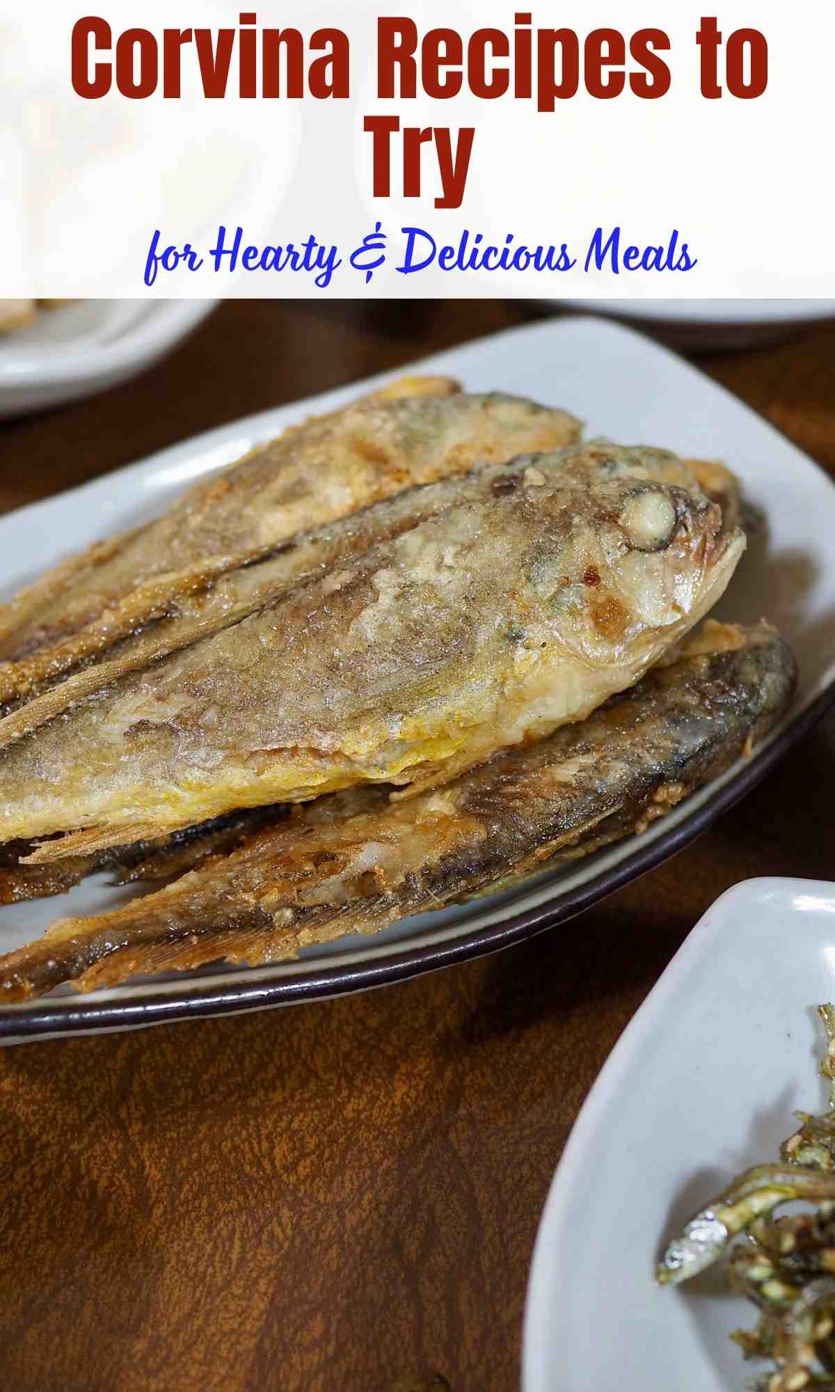 Corvina Recipes to Try