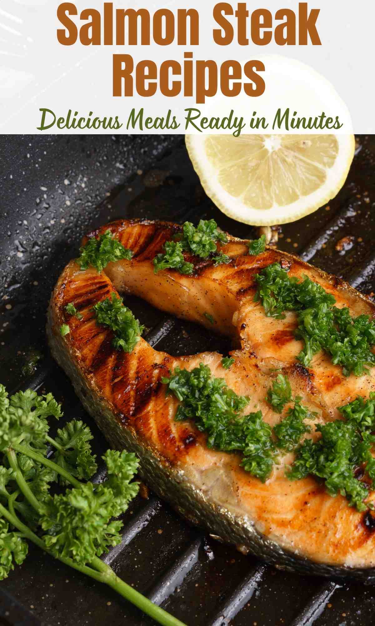Salmon Steak Recipes