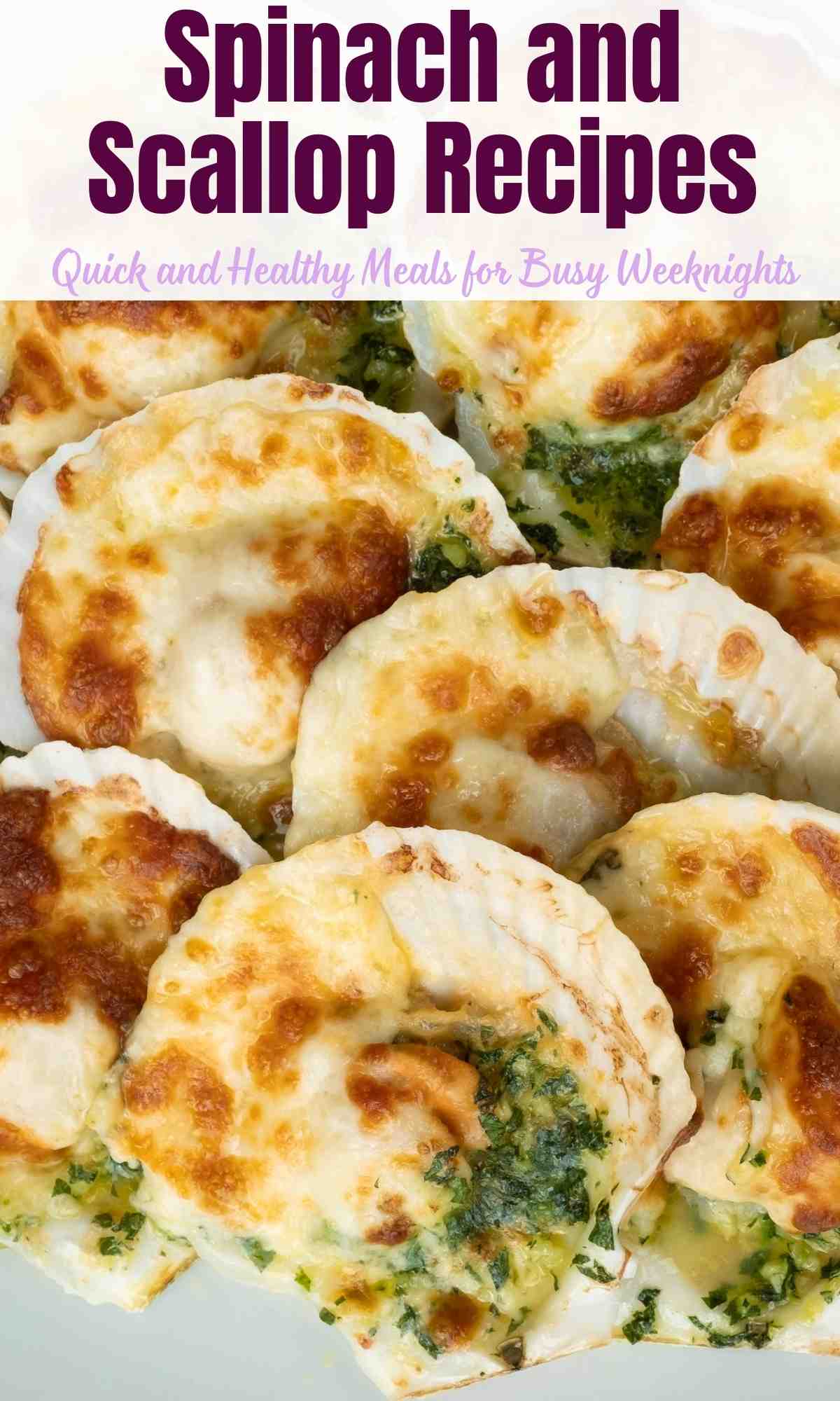 Spinach and Scallop Recipes