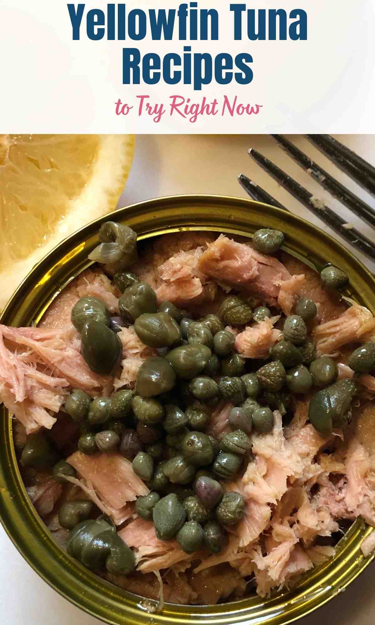 Yellowfin Tuna Recipes