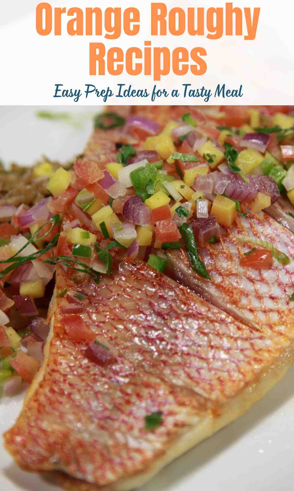 Orange Roughy Recipes
