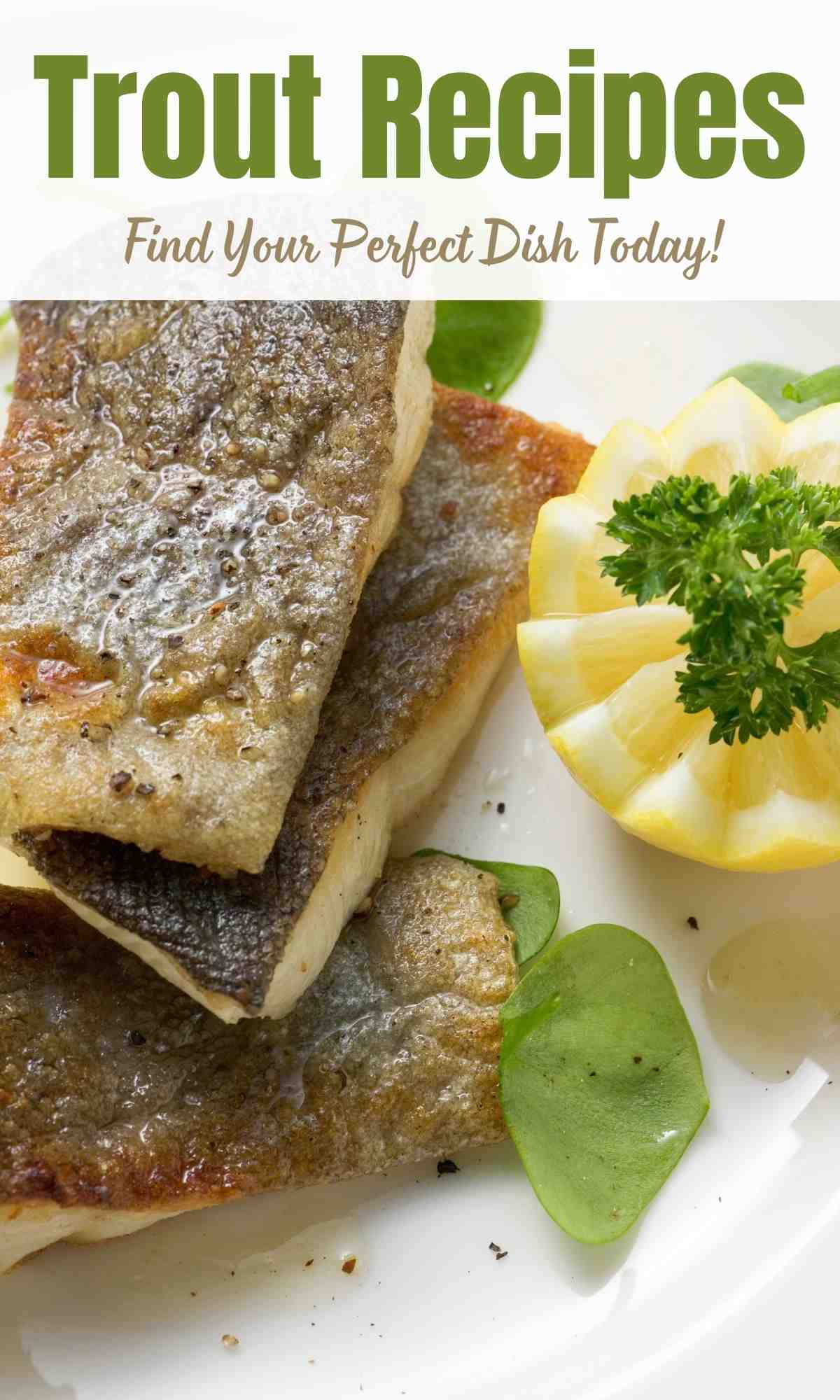 Trout Recipes