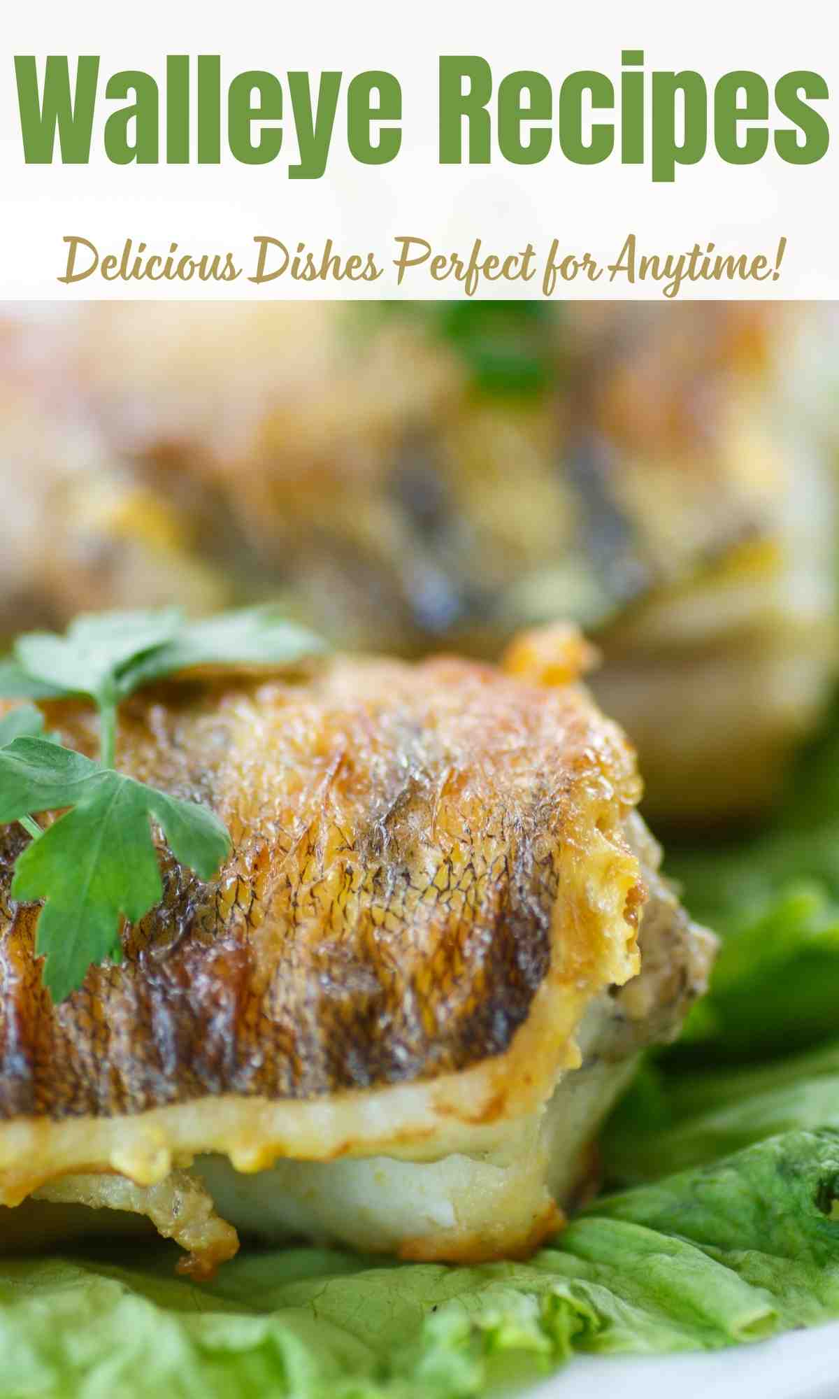 Walleye Recipes