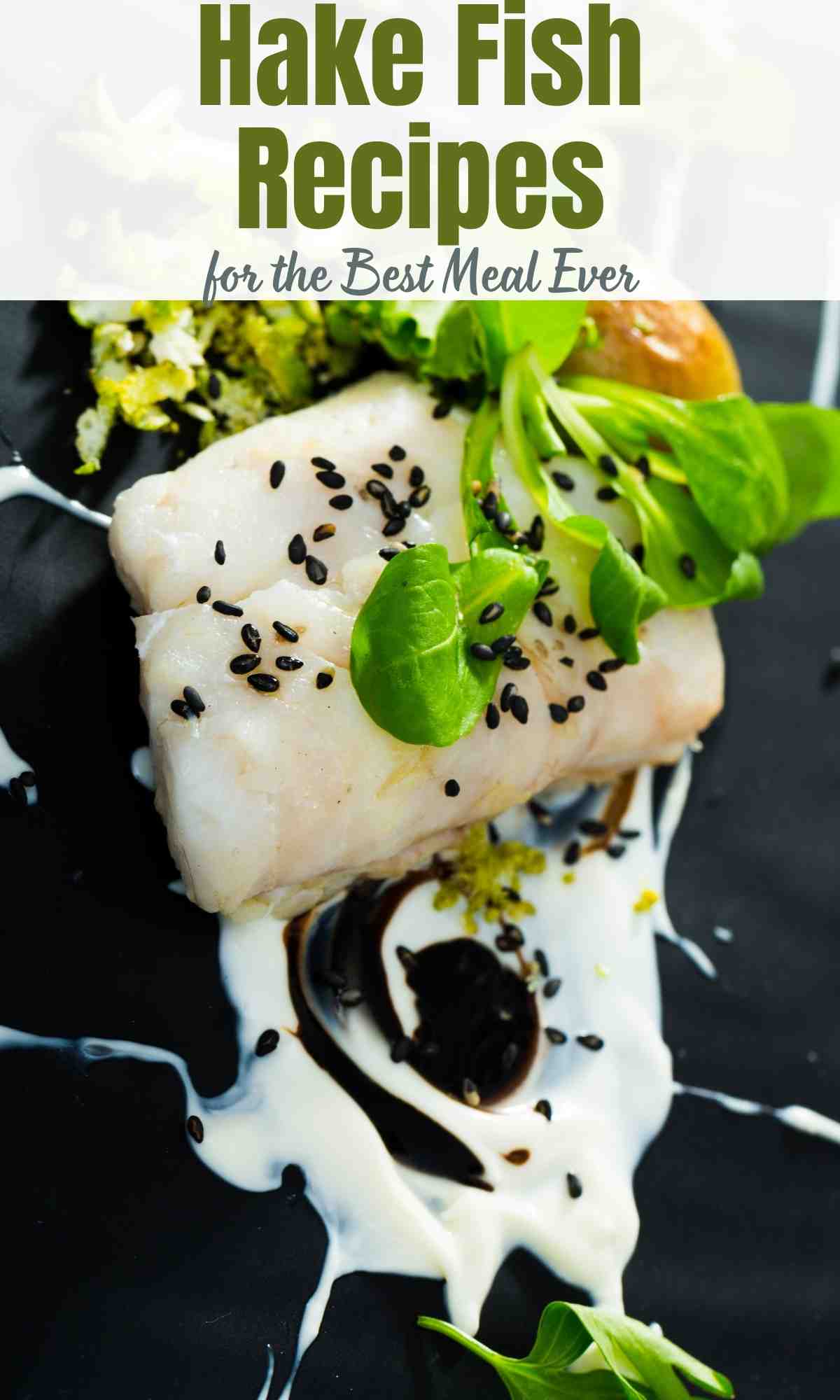 Hake Fish Recipes