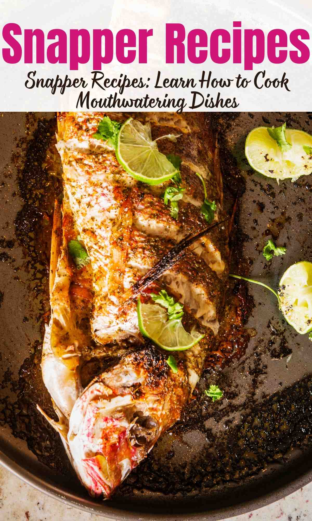 Snapper Recipes